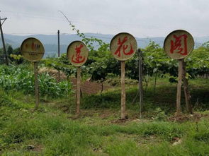 醉 生態丨蓮花閣生態園, 又一個世外桃源