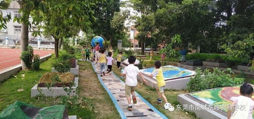 東暉實驗學(xué)校2020 2021學(xué)年新生網(wǎng)上報名