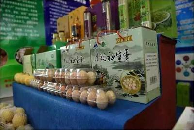 夏日果香四溢，大盛鎮生態園邀您盡享采摘之樂