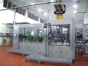 蘭州和田食品包裝機械購買指南 尋找高性價比設(shè)備